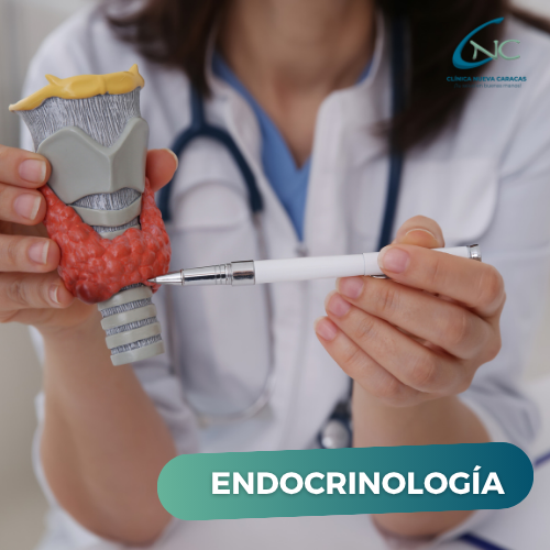 Endocrinología
